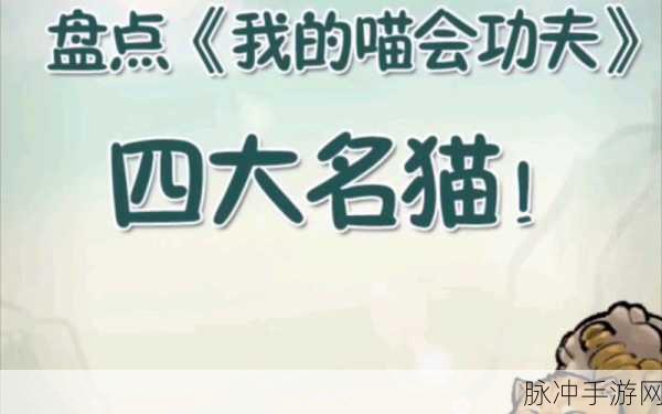 探秘我的喵会功夫下载，一款令人上瘾的角色扮演游戏深度攻略