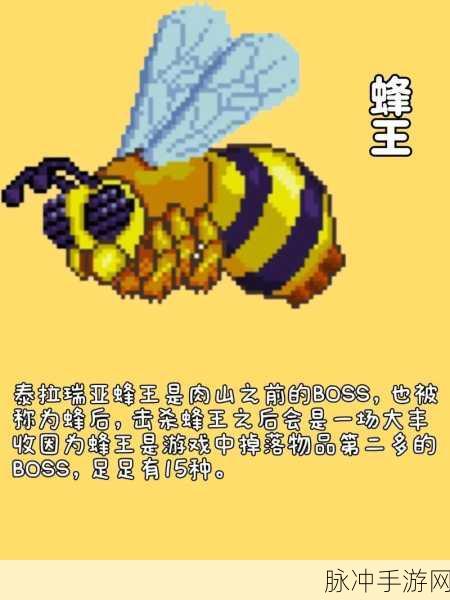 泰拉瑞亚探险指南，揭秘蜂王怒火中烧的奥秘
