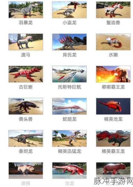 2025年方舟生存进化游戏热门补给站，深度探索各地图补给资源富饶度