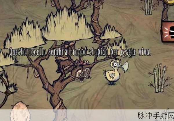 探秘饥荒海难，渡渡鸟岛的终极生存秘籍