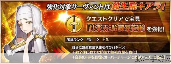 FGO深度攻略，山鲁佐德技能全解析及宝具与技能搭配策略