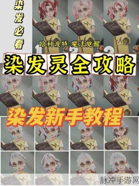 哈利波特魔法觉醒染发灵获取与染发魔药制作全攻略