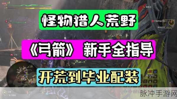 怪物猎人OL，揭秘弓箭手低伤害之谜与提升策略