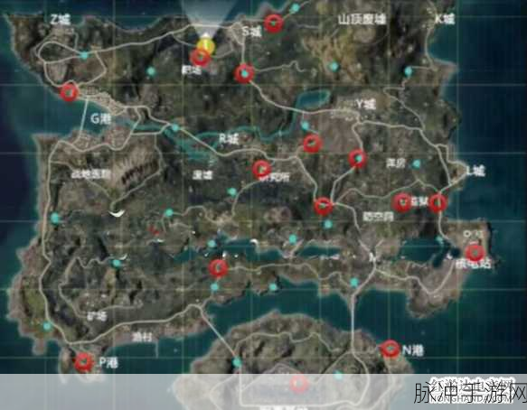 和平精英手游攻略，揭秘吃鸡的持工卡获取位置