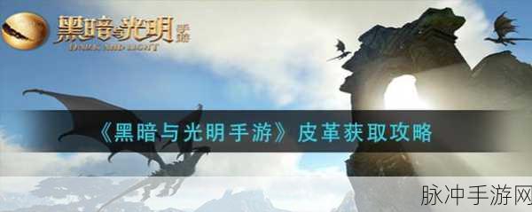 黑暗与光明,深度解析高级皮革获取全攻略