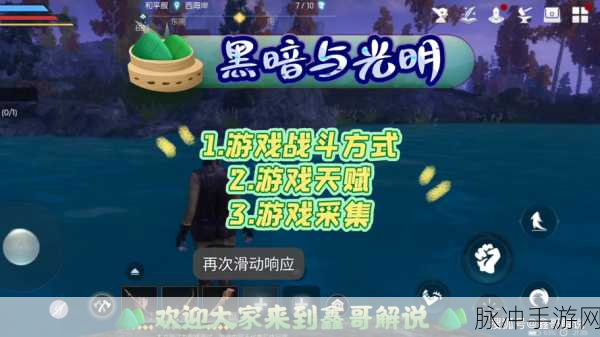 黑暗与光明,深度解析高级皮革获取全攻略