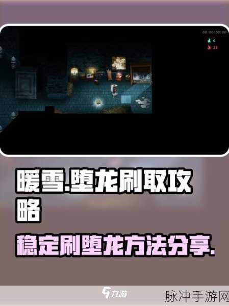 暖雪手游堕龙怎么样——全面解析堕龙强度及站位攻略