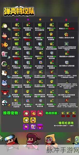 弹壳特攻队宠物选择深度解析,揭秘最强宠物搭配与实战策略推荐