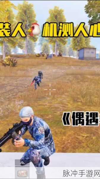 和平精英100人局揭秘，游戏人机机制全解析
