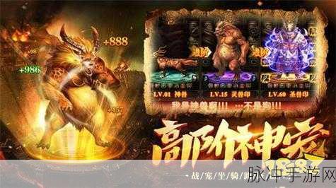 好大一把剑游戏红包版2024下载,卡通风格的放置修仙新体验