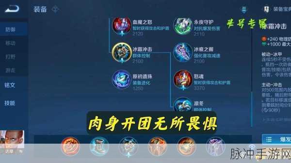 王者荣耀达摩搭配攻略，强势组合推荐与战术解析