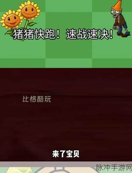 QQ飞车手游全新玩法揭秘，猪猪争夺战规则详解