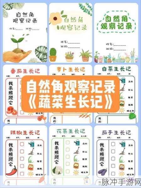 黎明前20分钟阳菜，深度攻略与朝露滋润下的蔬菜生长观察