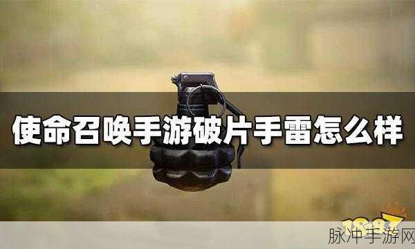 使命召唤手游攻略，掌握手雷回掷与徒手接雷的高级技巧
