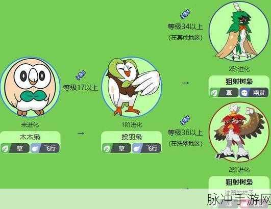 口袋妖怪复刻，木木枭技能搭配全攻略