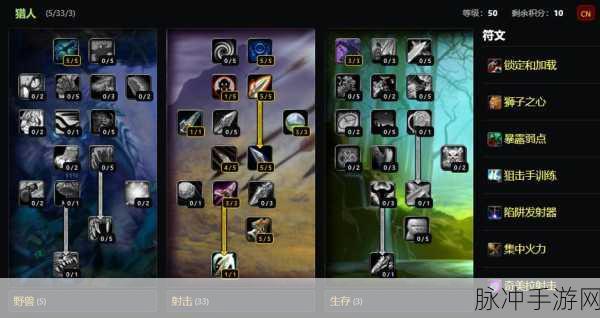 猎人80版本最强输出天赋图解析,解锁猎人极限伤害的奥秘