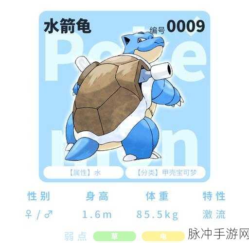 宝可梦大探险,杰尼龟属性技能全解析——挖掘战斗潜能的无限可能