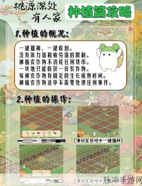 桃源深处有人家，萝萝山花圃育种技巧全面分享