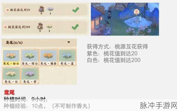 桃源深处有人家，萝萝山花圃育种技巧全面分享