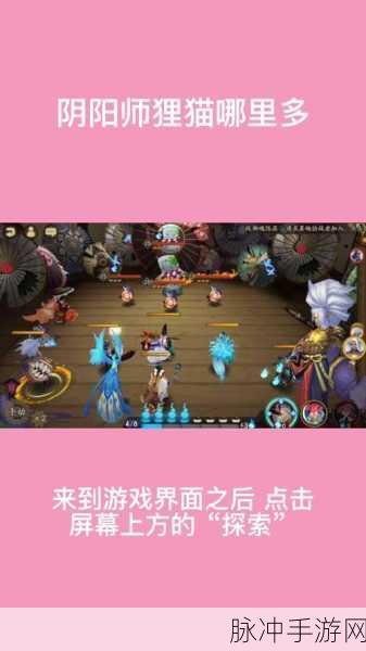 阴阳师手游攻略，狸猫刷新位置详解及高效刷取策略