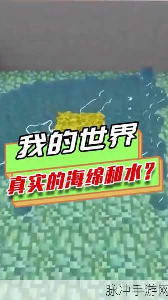 我的世界手游海绵属性及作用全面解析