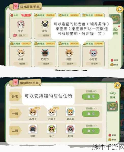 小森生活猫咪养成计划任务全攻略