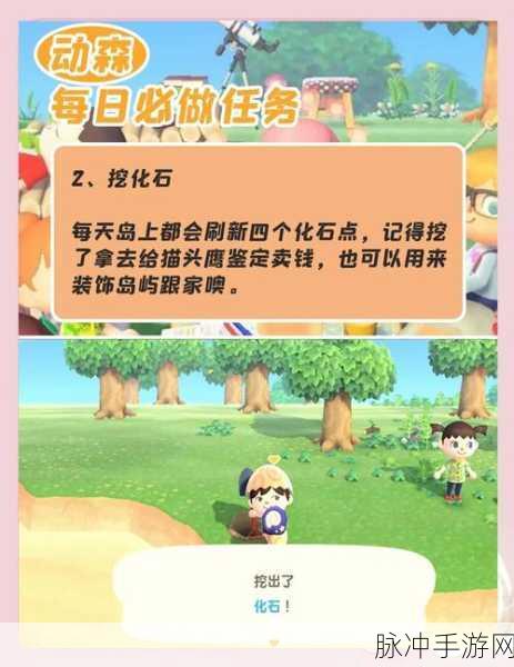小森生活风栖之地任务详解，探索与收集的奇妙之旅