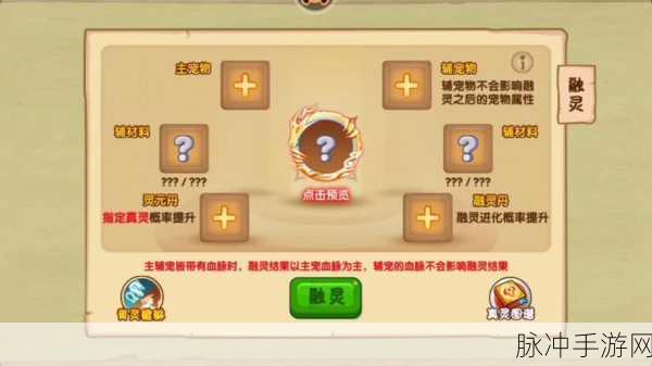 造梦西游OL全面攻略，揭秘灵物光速升级36计秘籍