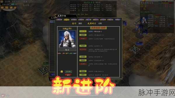 三国志11手游攻略，揭秘那些无敌的特技组合