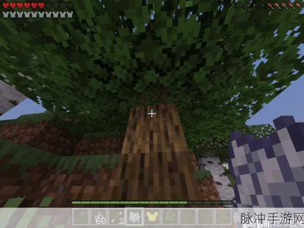 我的世界参天大树种植方法深度解析攻略