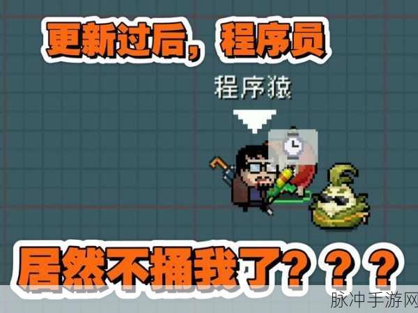 元气骑士揭秘，波子隐藏对话全攻略，解锁独特彩蛋！