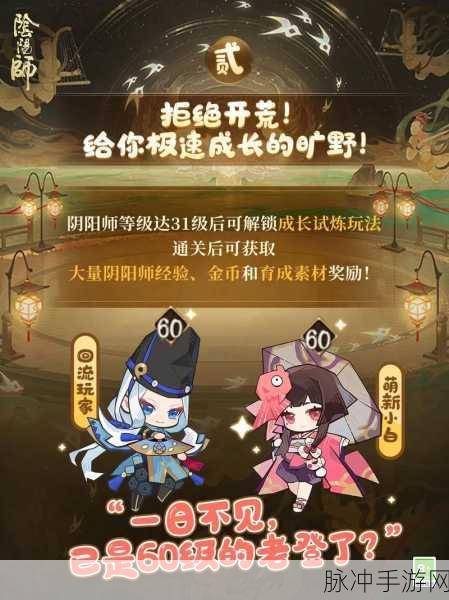 阴阳师山兔大冒险，五同式神策略奇招大揭秘
