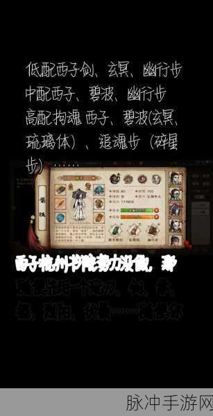 烟雨江湖高手指南,钟无月武功心法最优选择揭秘