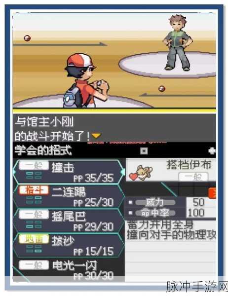口袋妖怪GBA全版本深度探索与攻略指南