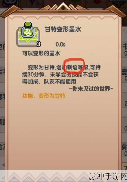 伊洛纳虚无之境全面探索指南