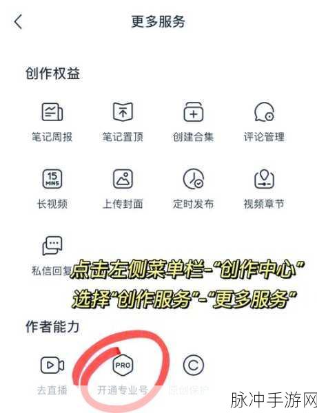 手游攻略新纪元，小红书升级为专业号方法步骤详解