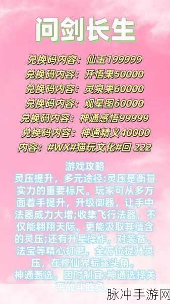 问剑长生心法等阶提升全攻略,解锁你的修仙之路