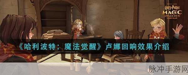 哈利波特魔法觉醒卢娜回响深度攻略，解锁神奇生物的战斗潜力