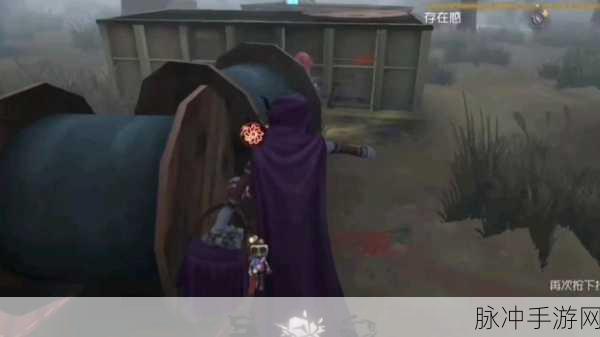 探索第五人格中乌鸦的神秘作用,为游戏胜利增添助力的秘密武器