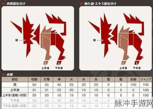 怪物猎人世界双刀新手向配装指南
