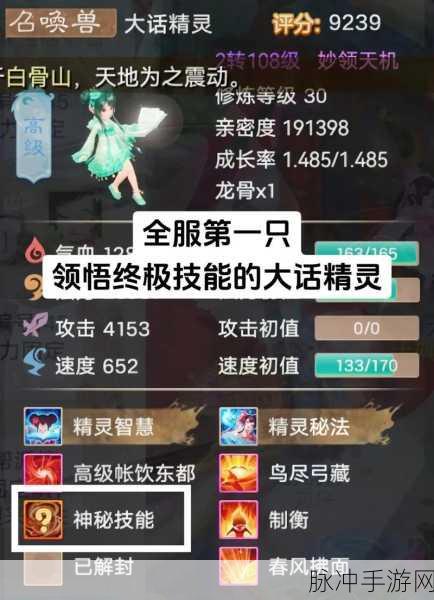 大话西游手游深度解析,召唤兽大话精灵全方位培养攻略