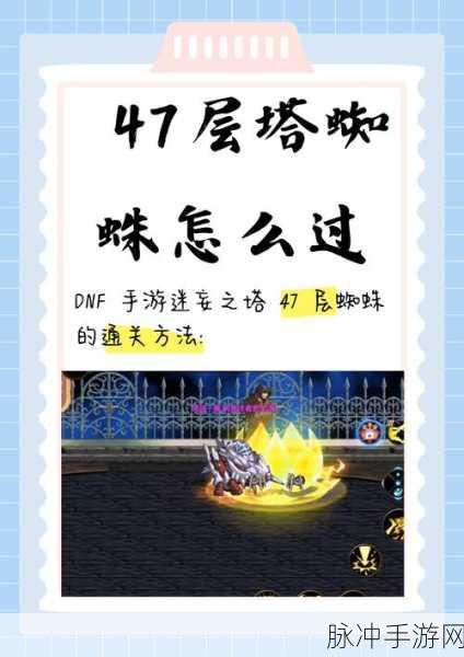 蜘蛛模拟生存，探索自然法则的生存游戏攻略