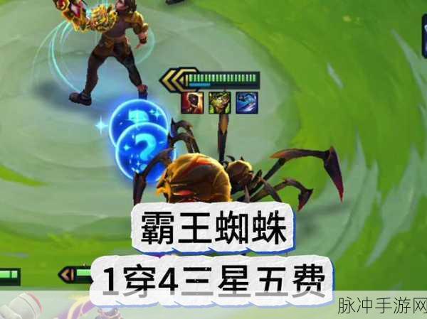 蜘蛛模拟生存,探索自然法则的生存游戏攻略