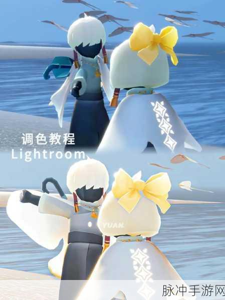 光遇蝴蝶结先祖全攻略，详尽位置探索与兑换价格揭秘，助你游戏游刃有余