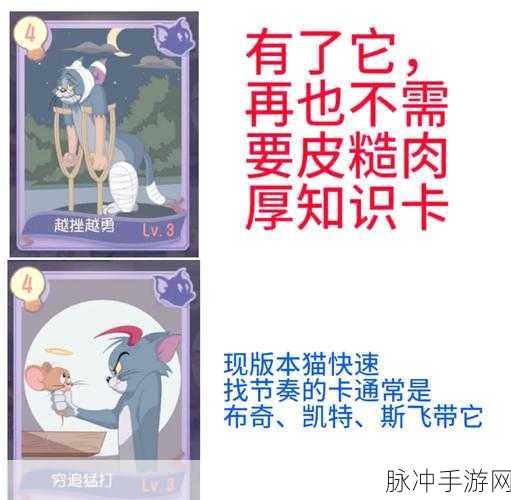 猫和老鼠手游攻略，抽知识卡策略深度解析——抽一次还是抽三次？