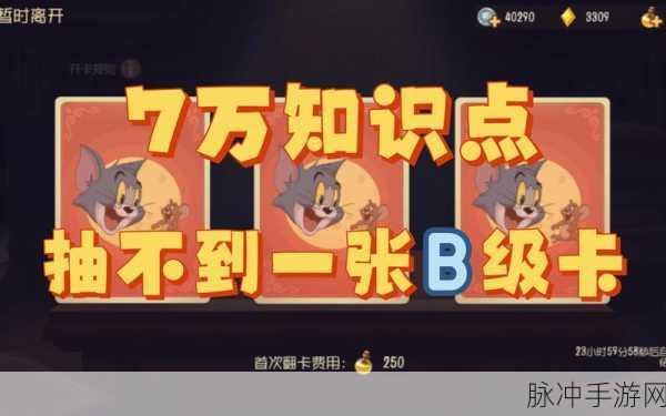 猫和老鼠手游攻略,抽知识卡策略深度解析——抽一次还是抽三次?