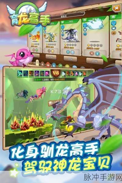 飞碟高手下载,解锁竖版传球游戏的休闲新体验