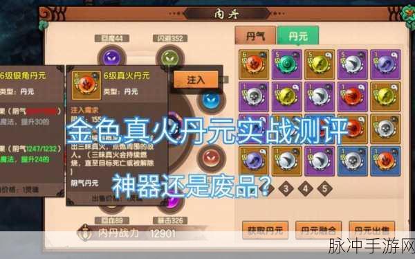 造梦无双悟空丹元搭配深度解析