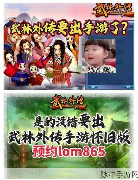 武林外传手游深度攻略,揭秘绝世武功葵花宝典的修炼之道
