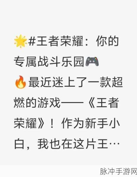 王者荣耀观战秘籍,一探竞技场上的风云变幻深度攻略